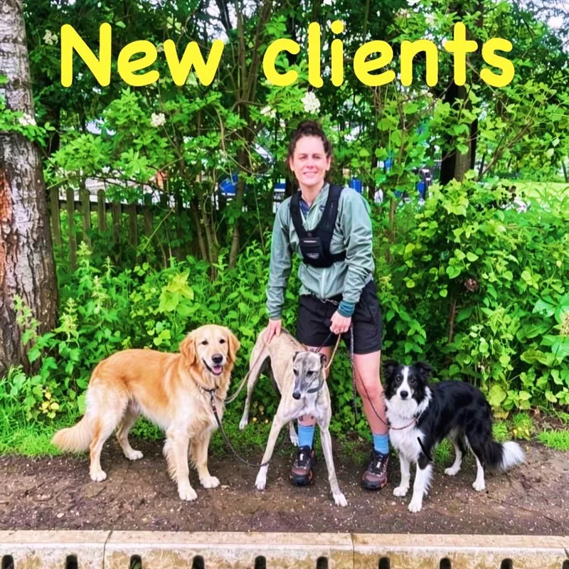 Woof and Wag Dog Walkers project 2